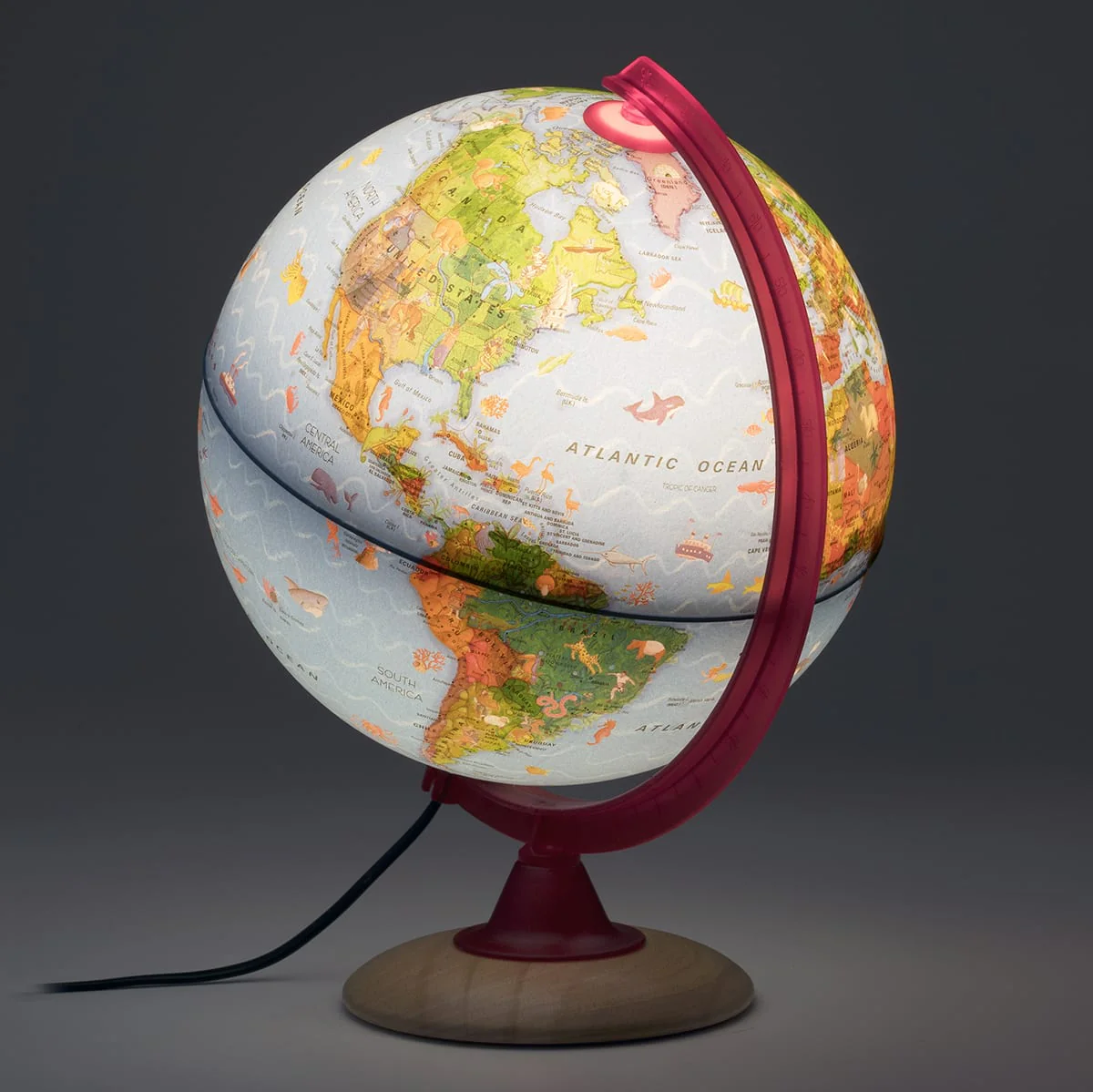 Circus Explorer Globe - Image 5